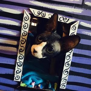 Meet your Posher, Heather